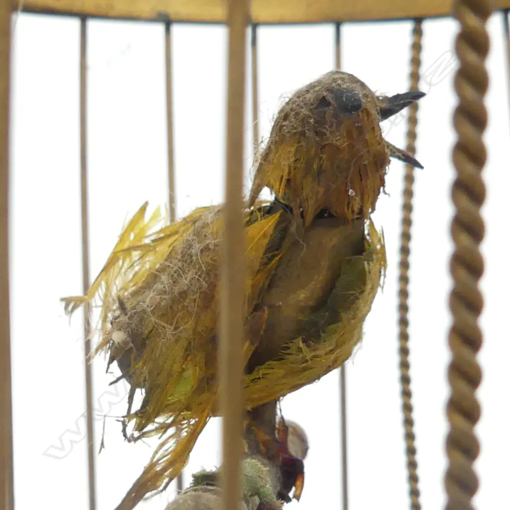 VINTAGE FRENCH STYLE SM GILT MUSICAL BIRD CAGE WITH BIRD (NOT WORKING) H. 300MM Image 1++