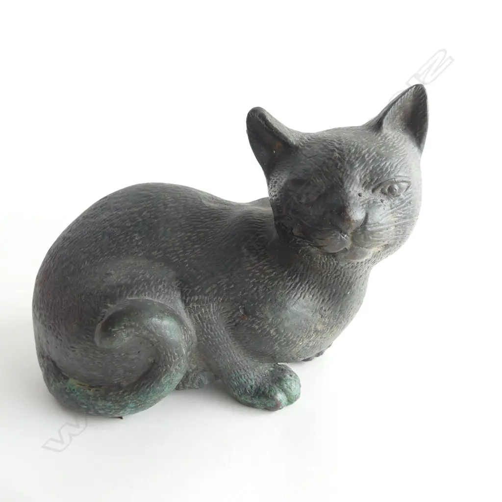 THAI BRONZE CAT Image 1++