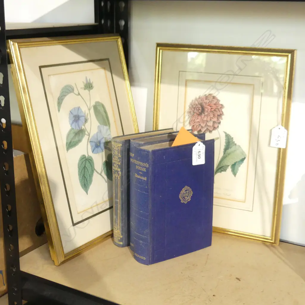 3 VINTAGE BOTANICAL PRINTS & 3 OLD BOOKS INCL TENNYSON'S POEMS Image 1++