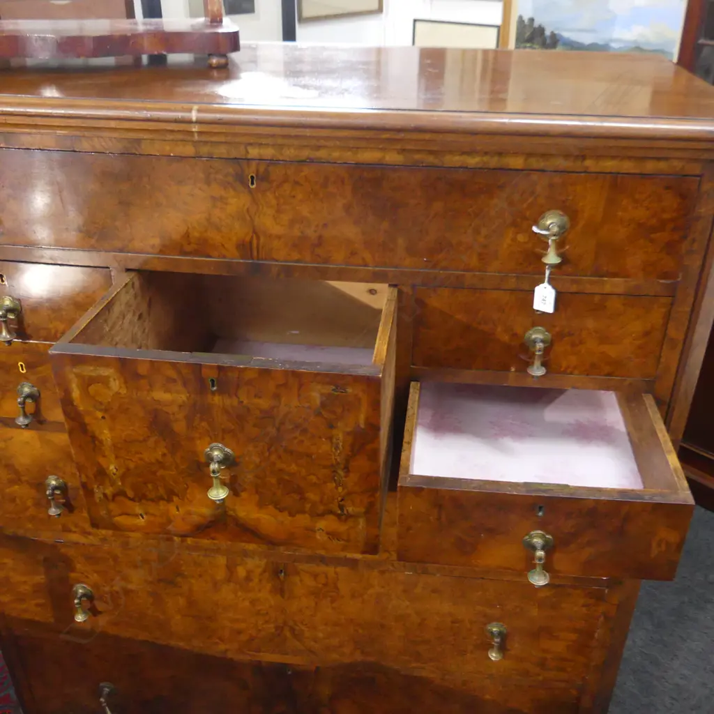 BURR WALNUT VENEER SCOTCH CHEST 1180x535x1340mm Image 1++
