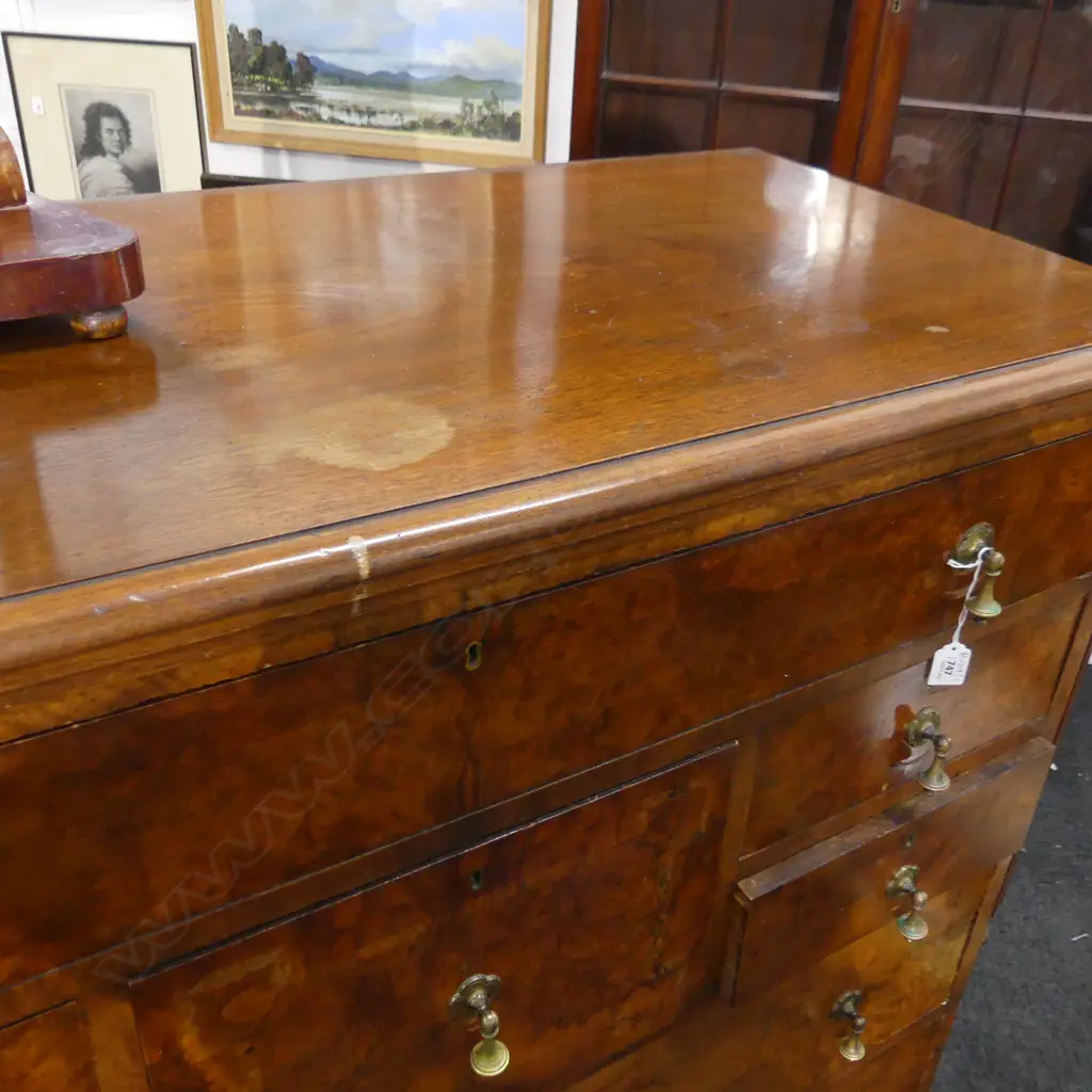 BURR WALNUT VENEER SCOTCH CHEST 1180x535x1340mm Image 1++