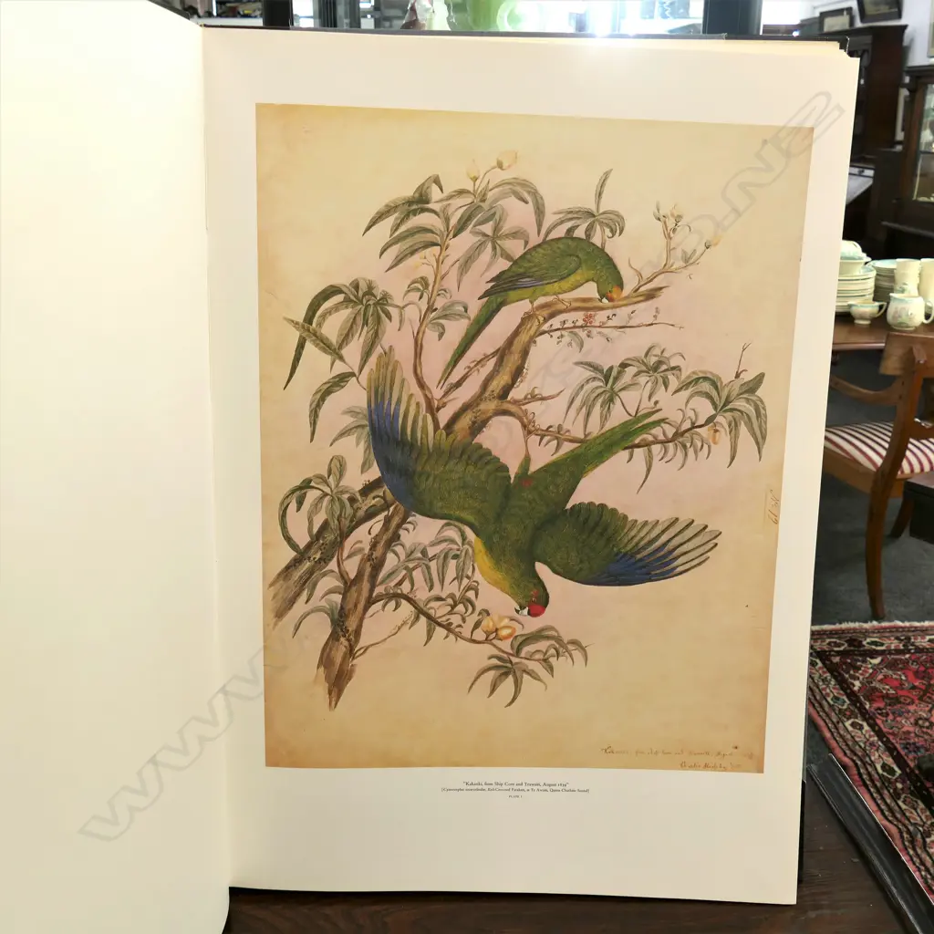CHARLES HEAPHY W/C FOLIO; AVON FINE PRINTS 1981 34/1000 725x520mm Image 1++