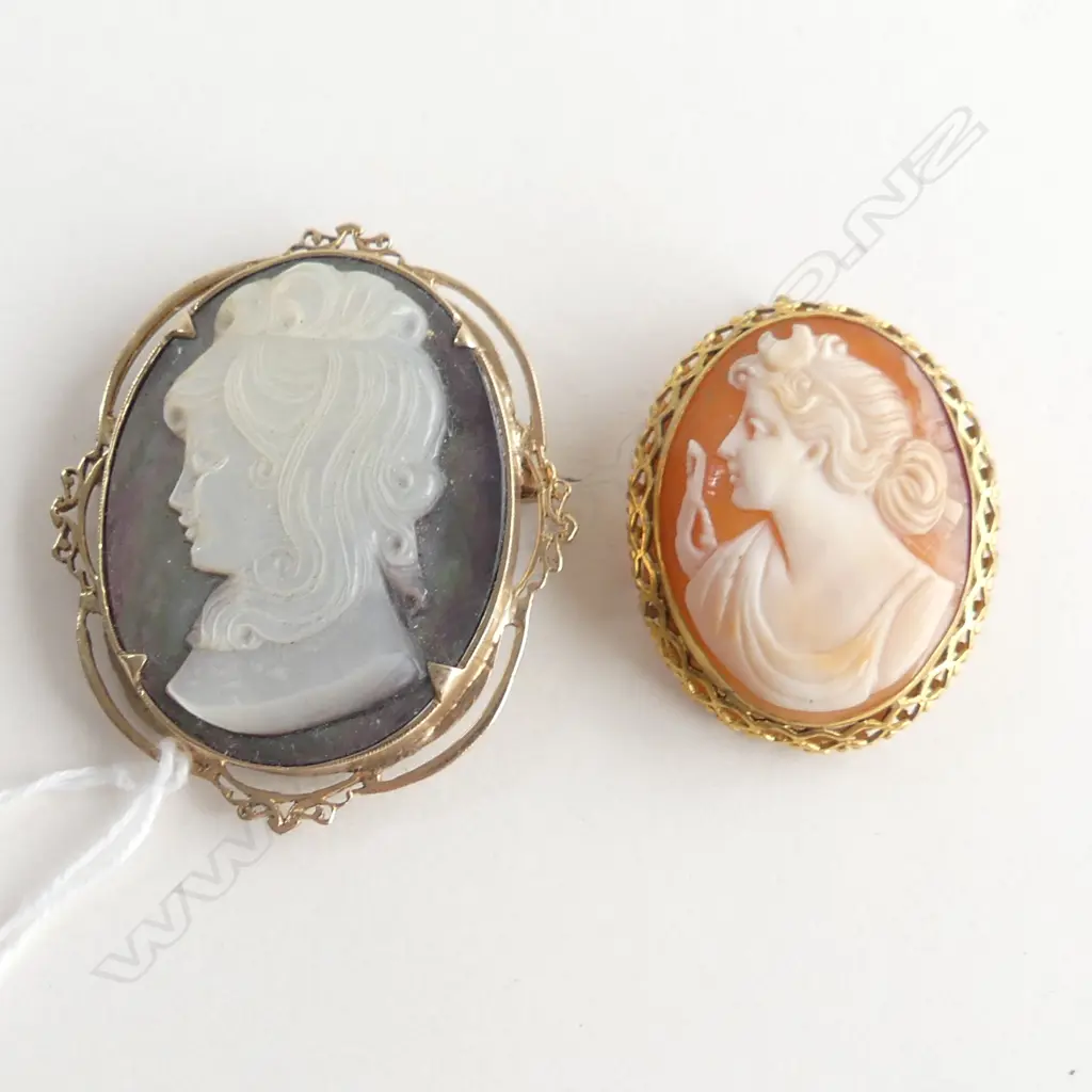 2 CAMEOS; 9CT & OTHER Image 1++