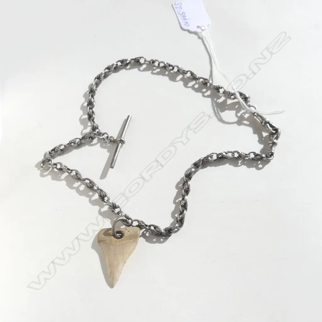 ANTIQUE SILVER PRINCE OF WALES ALBERT CHAIN W SHARK'S TOOTH (20901) Image 1++