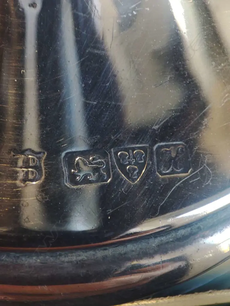 S/SILVER SPECIMEN VASE, H.200MM Image 1++