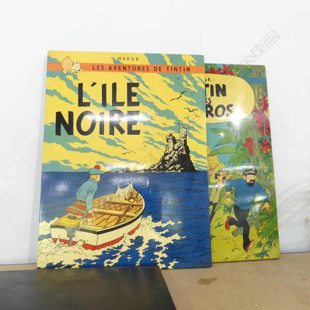 3 TIN TIN PRINTS ON WOOD 400 X 300MM Image 1++