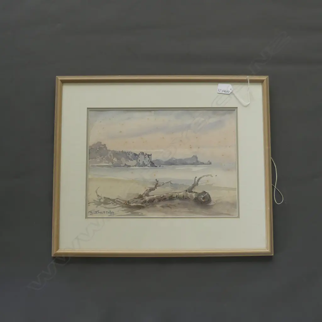 BIRCHNELL DELPH W/C WHANGAREI HEADS to distant Langs Beach. 250x 340mm Image 1++