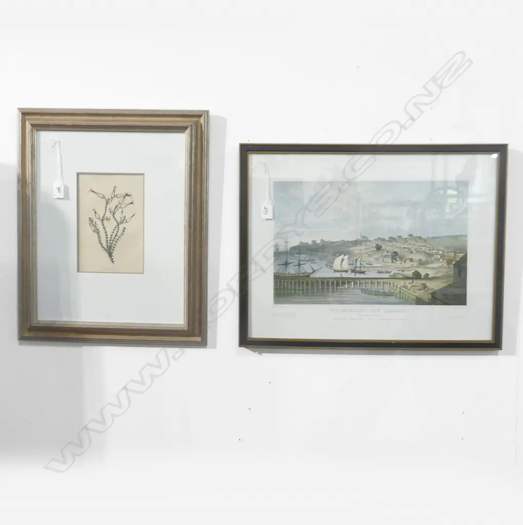 2 PRINTS; BOTANICAL & AUCKLAND 1852 270x420mm Image 1++