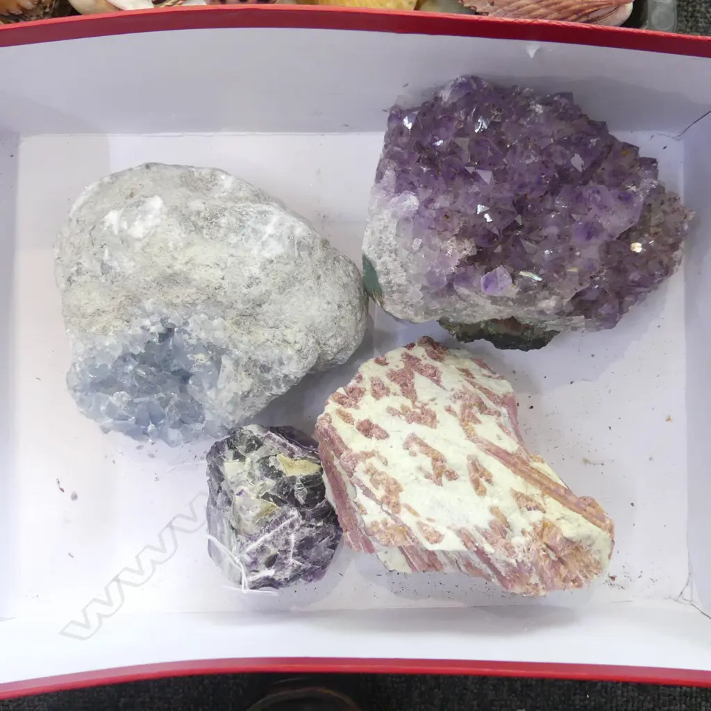 4 SEMI PRECIOUS STONES; AMETHYST GEODES ETC Image 1++