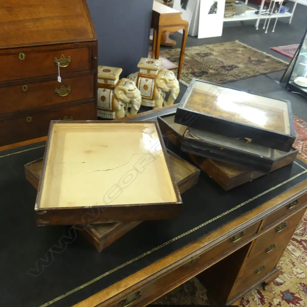 5 VINTAGE GLAZED DISPLAY CASES 415x370mm Image 1++