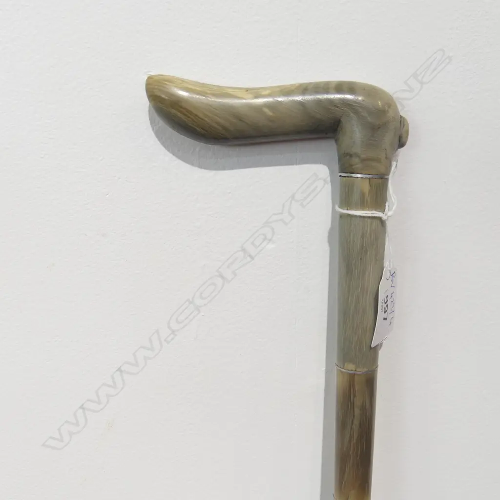 HORN WALKING STICK L.820mm Image 1++
