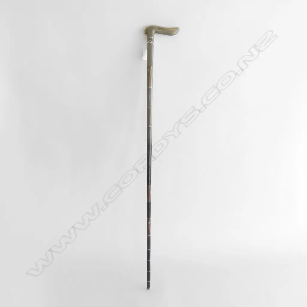 HORN WALKING STICK L.820mm Image 1++