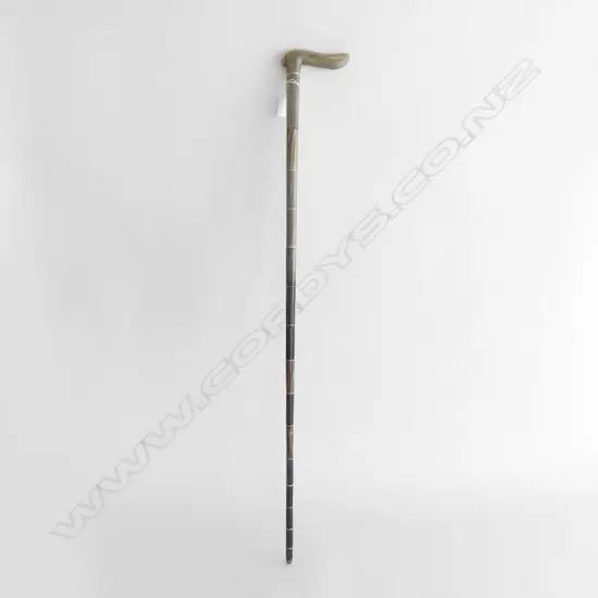 HORN WALKING STICK L.820mm