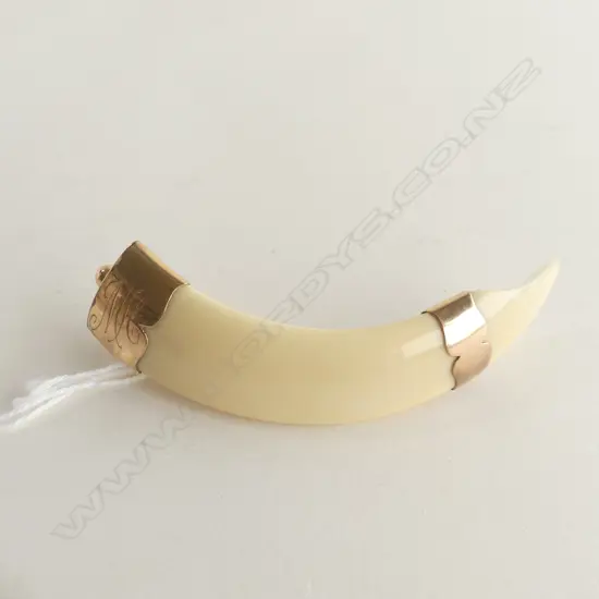 C1900 9CT ROSE GOLD & BOAR TUSK BROOCH L.88mm (18784)