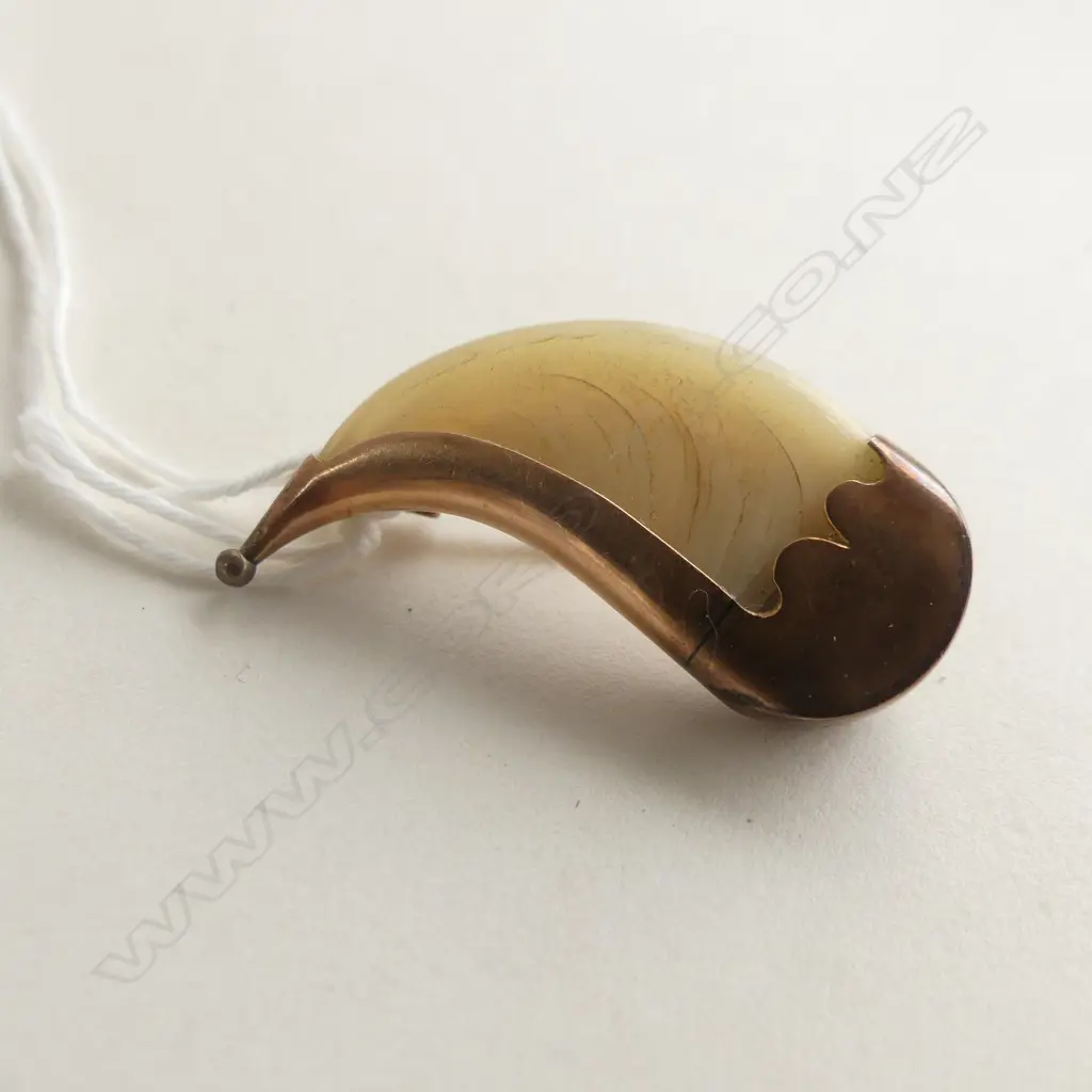 19THC 9CT GOLD & TIGER'S CLAW BROOCH (20863) Image 1++