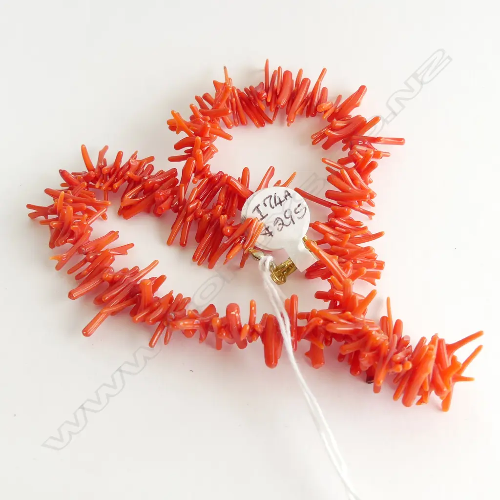 CORAL NECKLACE L. 410mm Image 1++