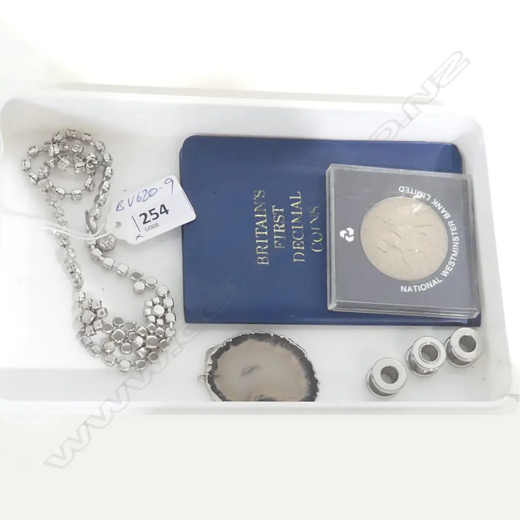 ASST: 3 FLESH (EAR)'TUNNEL PIERCINGS& other + 2 COINS + COSTUME NECKLACE + AGATE PENDANT Image 1++