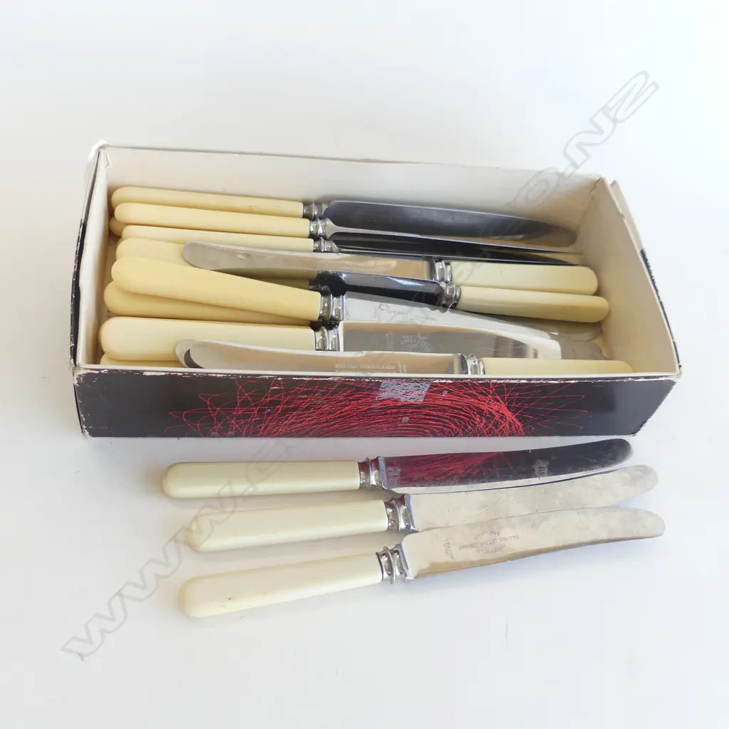 24 IVORINE 'BONE' HANDLED KNIVES 16x230mm 8x205mm Image 1++