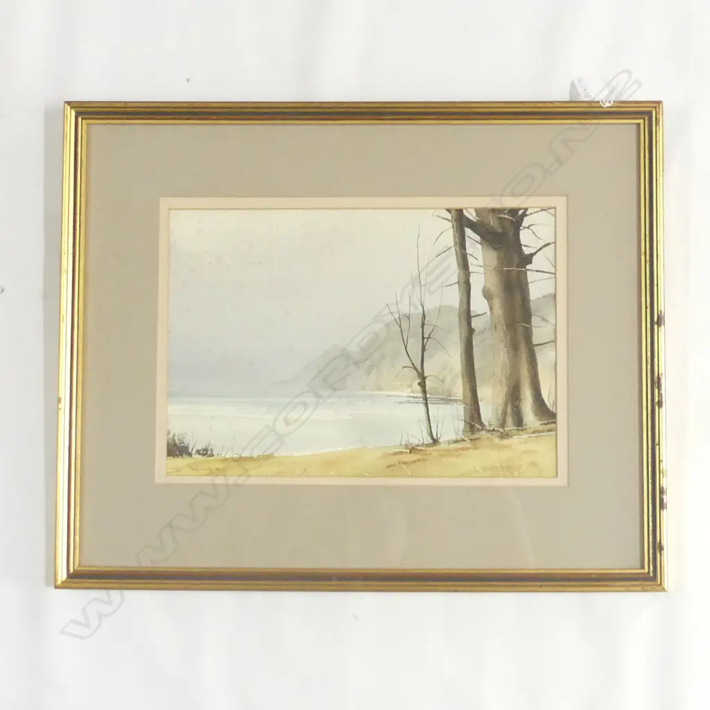 LEWIS, Tony (NZ c.1970-2000), Nugget Point, Westland, W/C, signed & dated 1984, 230mm x 340mm Image 1++