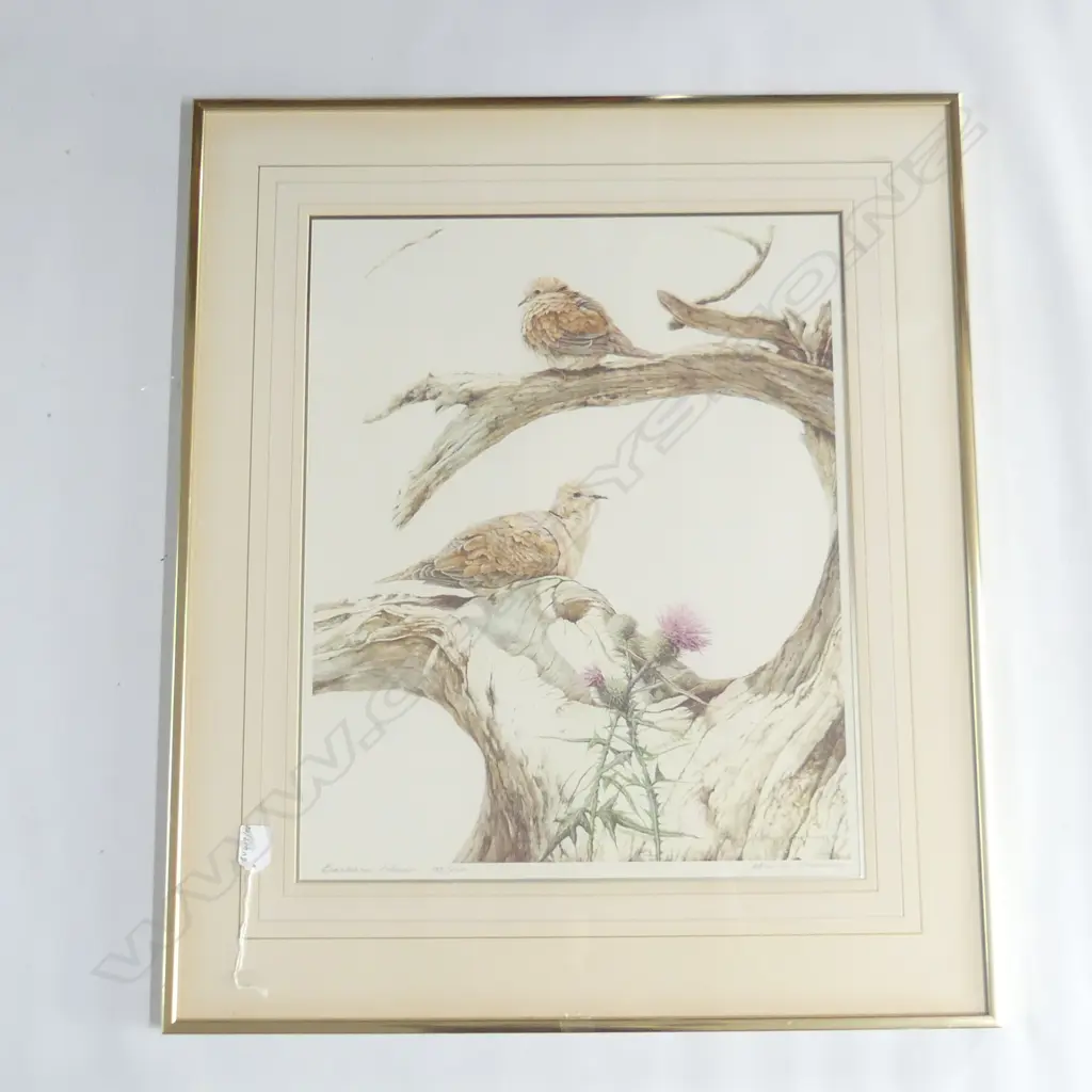 JAQUIERY, Merrilyn (NZ 1948-), Barbary Doves, Lithoprint 188/250, signed in print, 530mm x 43.50mm Image 1++