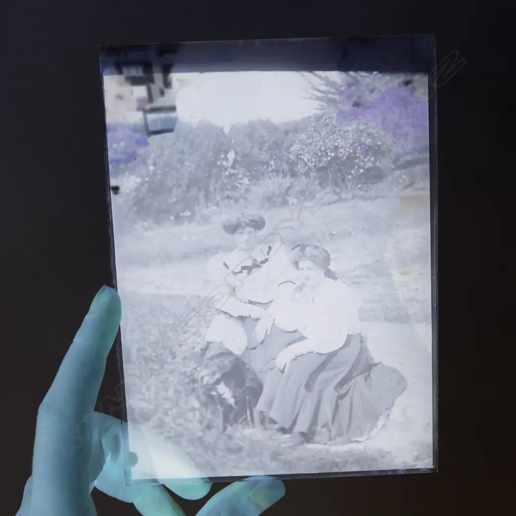 8 EARLY 20thC GLASS PHOTOGRAPHIC PLATES; FAMILY SHOTS Image 1++