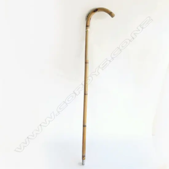 OLD BAMBOO HORSE MEASURING WALKING STICK w pull-out measure & spirit level set arm 