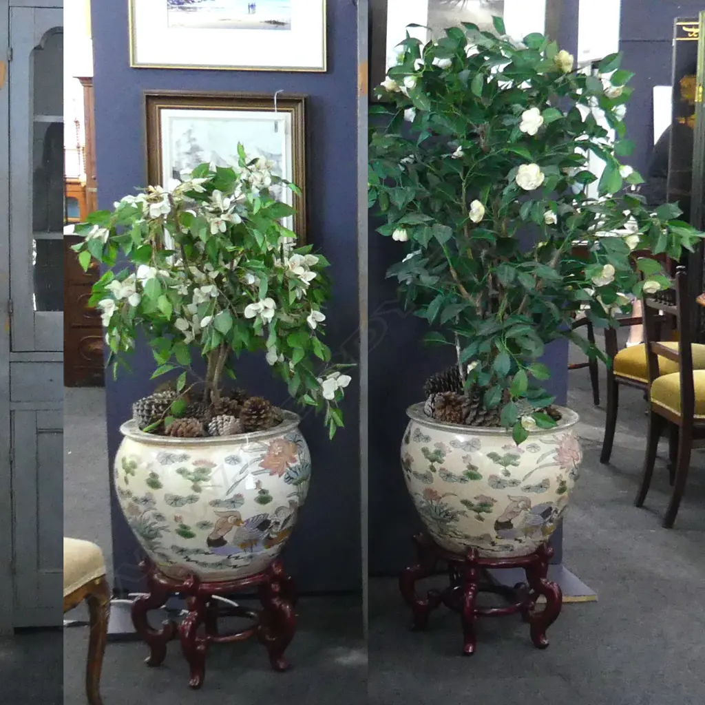 PR LARGE POTS ON WOODEN STANDS EACH WITH ORNAMENTAL PLANTS H. 440MM (WITHOUT PLANTS) Image 1++