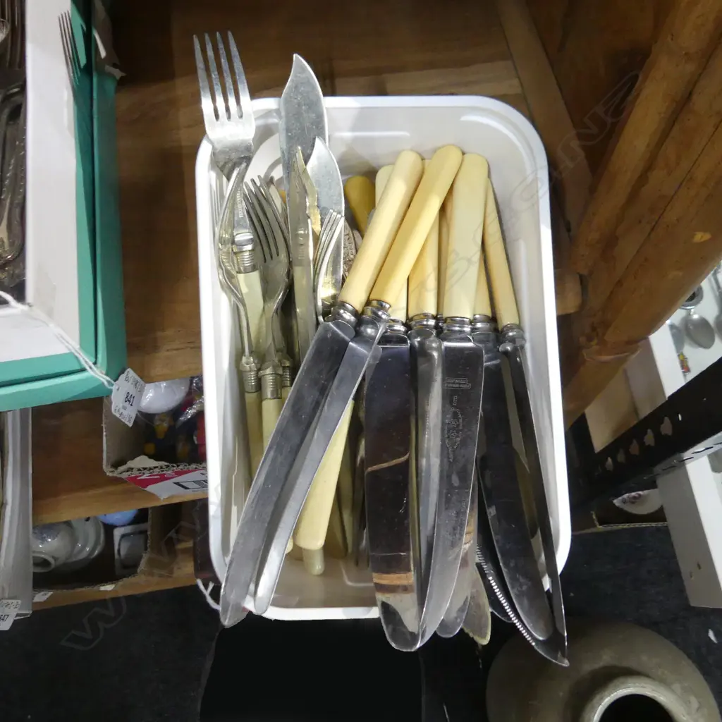 ASST. CUTLERY INCL. IVORINE 'BONE' HANDLED KNIVES Image 1++