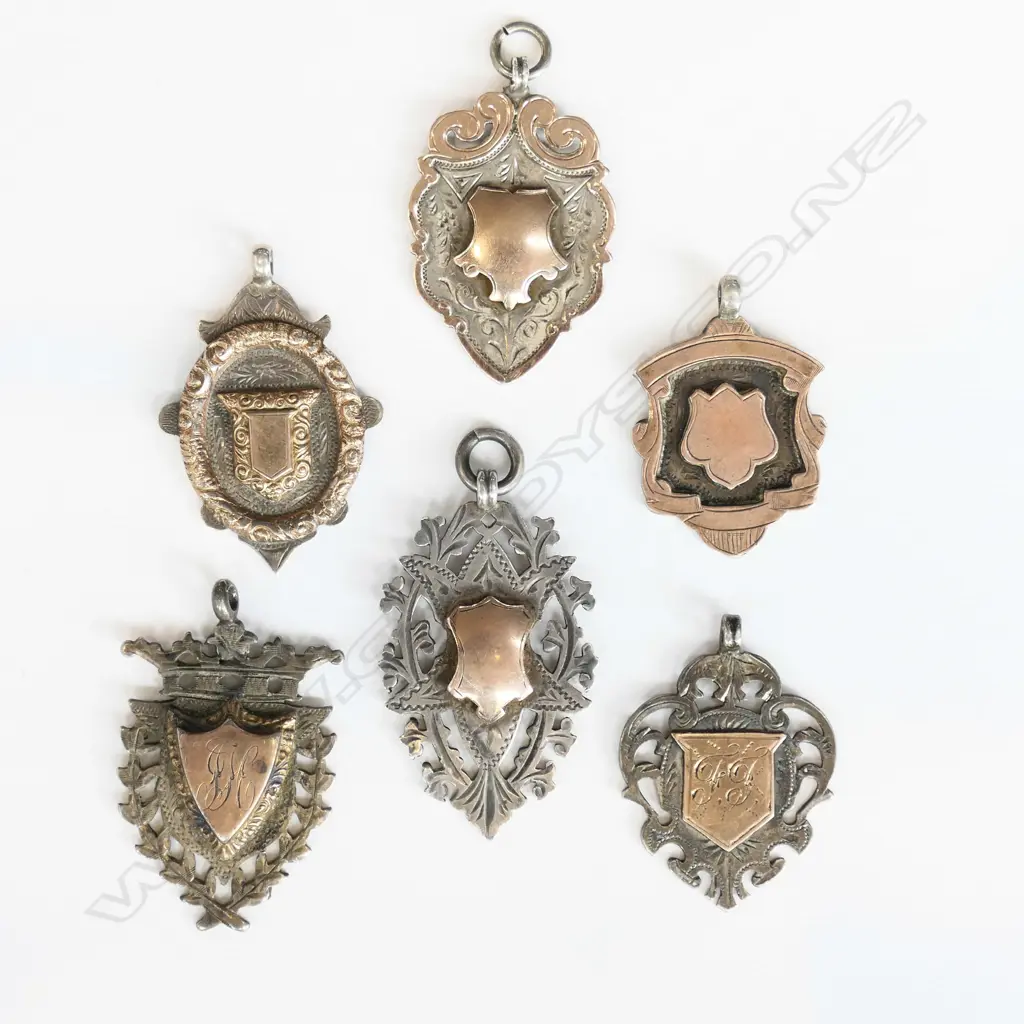 6 STG & GOLD MEDALS 49 GRAMS Image 1++