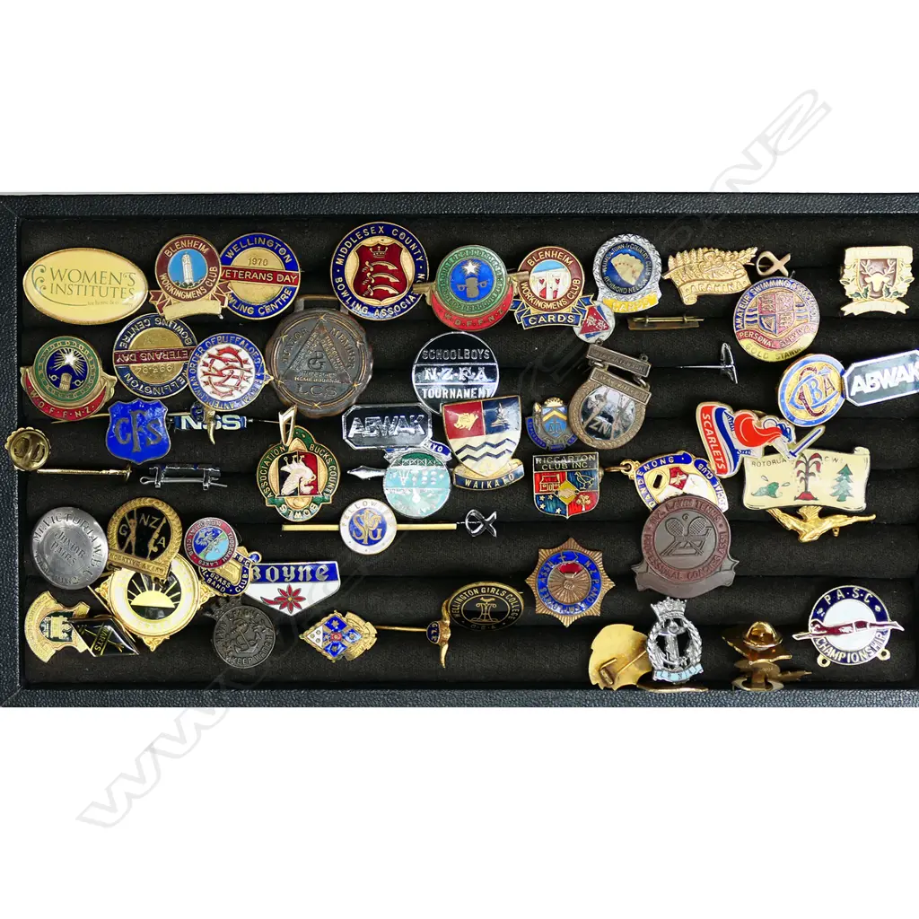 TRAY w. 50+ ASST. BADGES & PINS Image 1++