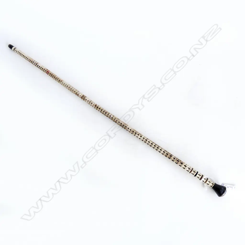 VERTEBRAE BONE POINTER / BATON L.570mm Image 1++