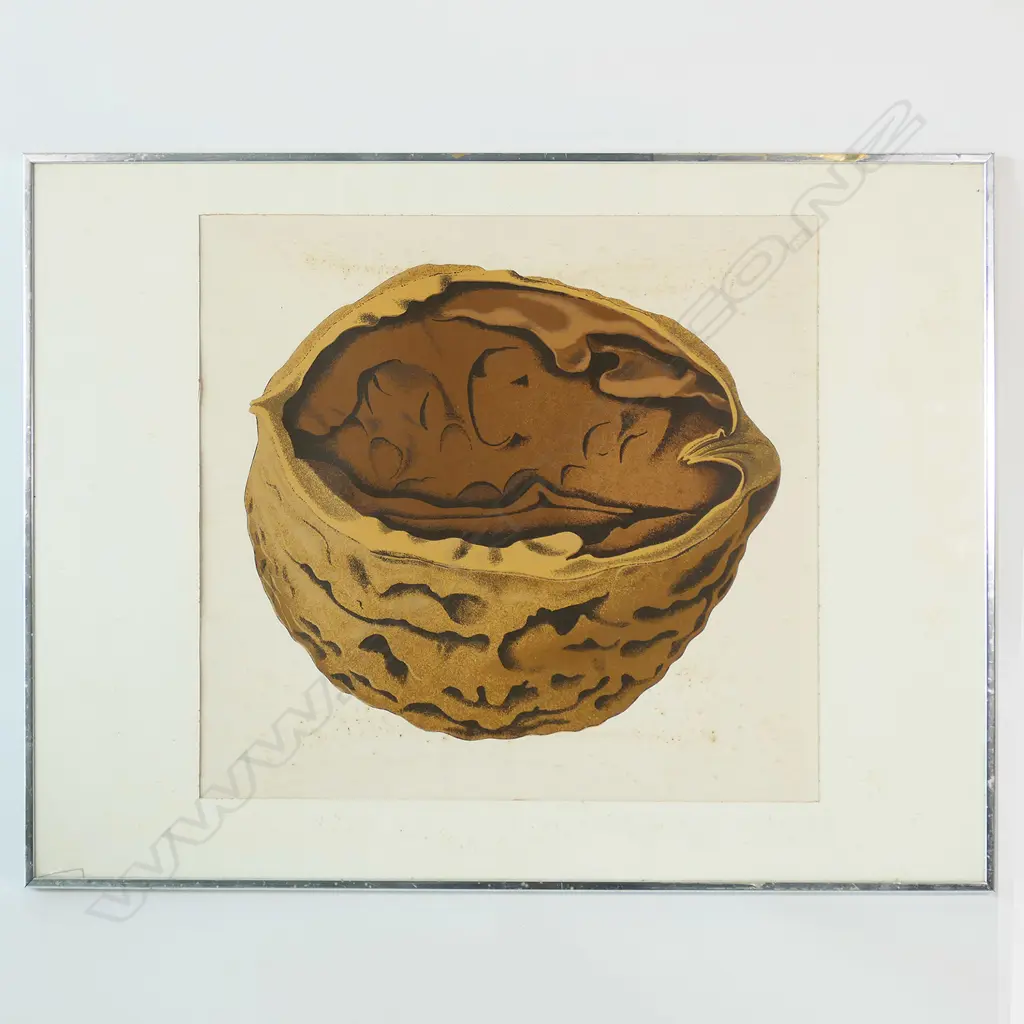 MICHAEL SMITHER, WALNUT, SCREENPRINT, 1976, 400 x 450mm, surface damage & crack to glass Image 1++