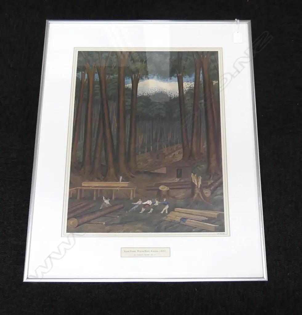 CHARLES HEAPHY. ' KAURI FOREST WAIROA RIVER,KAIPARA (1839)', COLOURED PHOTO LITHO, 490X380mm Image 1++