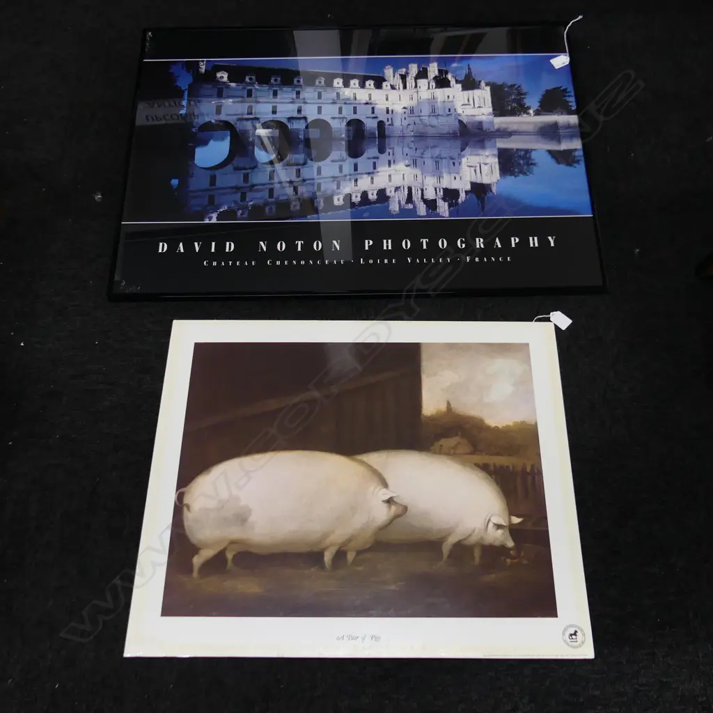 2 LG PRINTS; CHATEAU 'DAVID NOTON PHOTOGRAPHY' & 'A PAIR OF PIGS' 540x645mm Image 1++