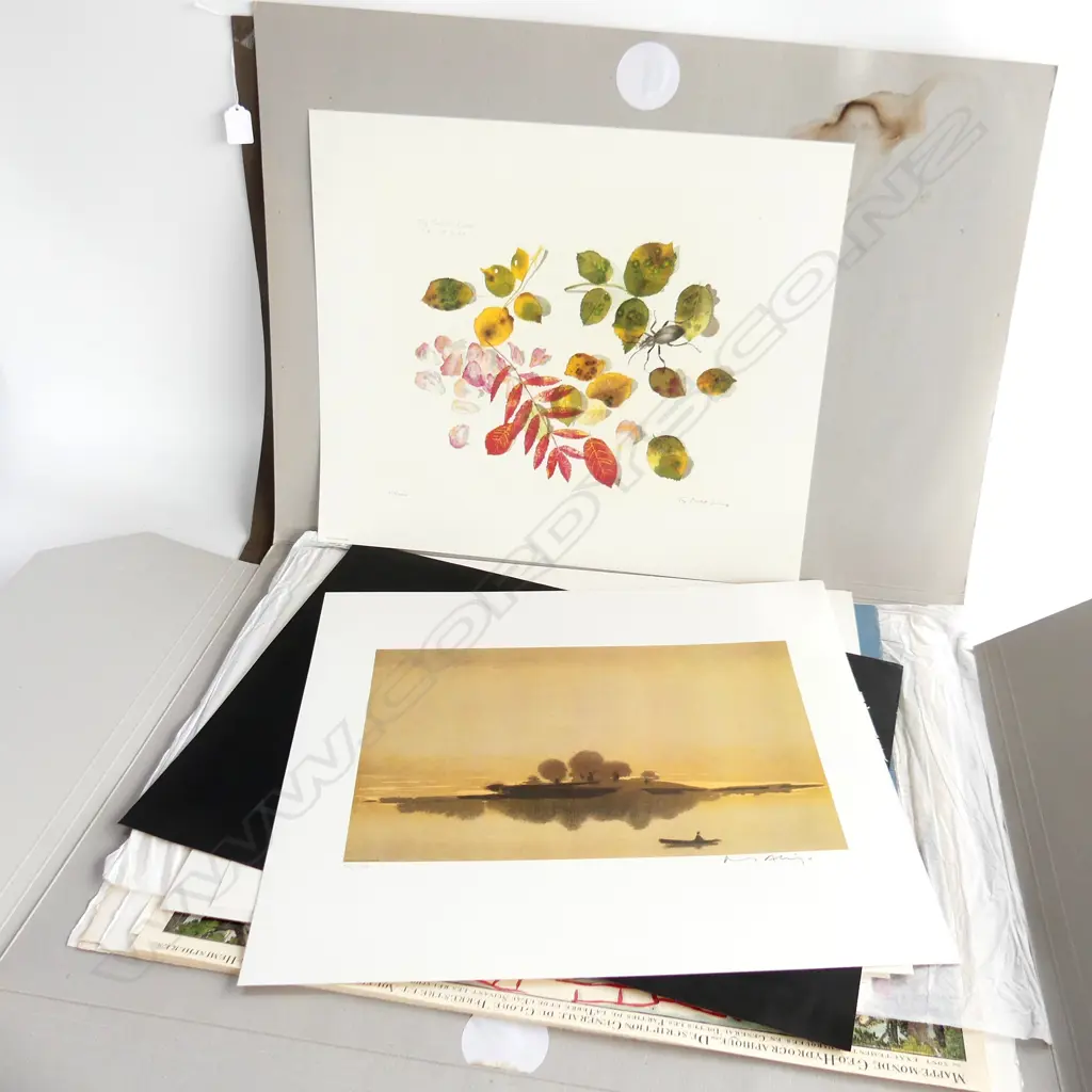 LG FOLIO ASST. ART PRINTS; BOTANICAL, LANDSCAPES ETC Image 1++