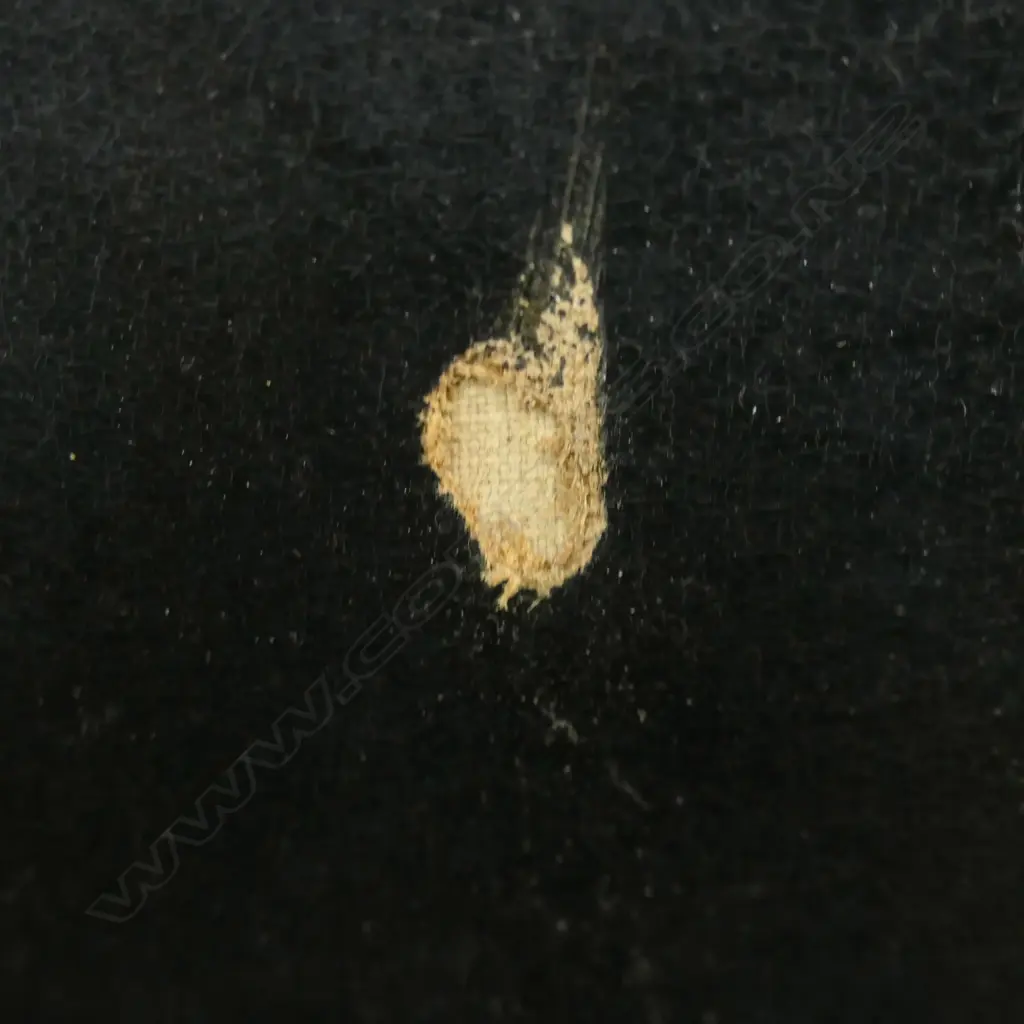 LG 19thC GENTS PORTRAIT, OIL ON BOARD, ARTIST UNKNOWN, TEAR TO CANVAS, LOSSES TO FRAME,  750x615mm Image 1++