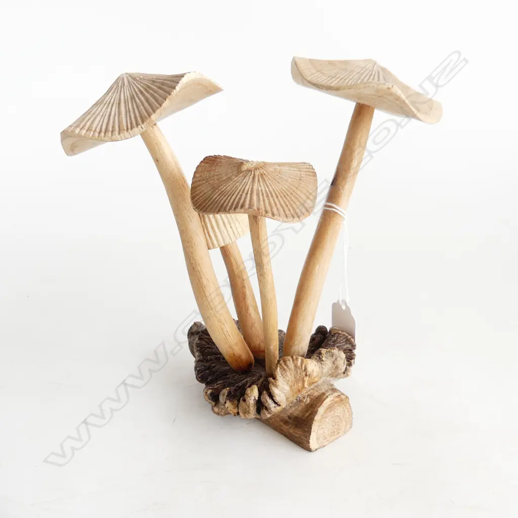 DACTYLANTHUS (WOOD ROSE) w. 4 CARVED WOODEN MUSHROOMS H.190mm Image 1++