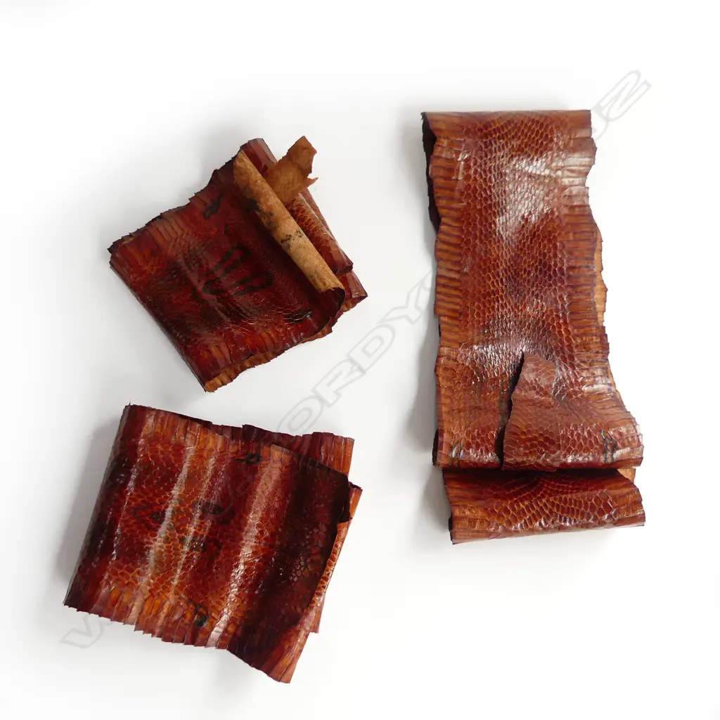 THREE SNAKE SKINS L.1019 - 1230mm Image 1++