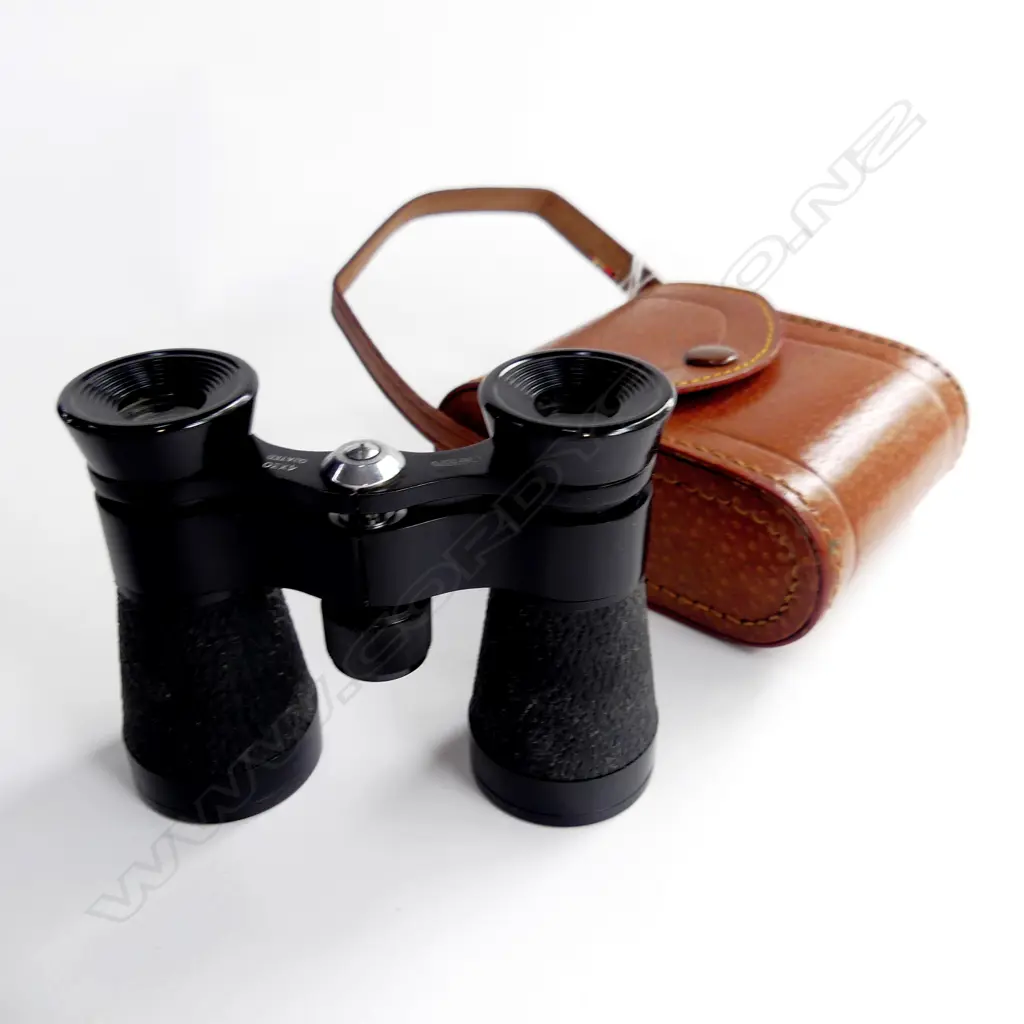 OPERA GLASSES IN LEATHER CASE Image 1++