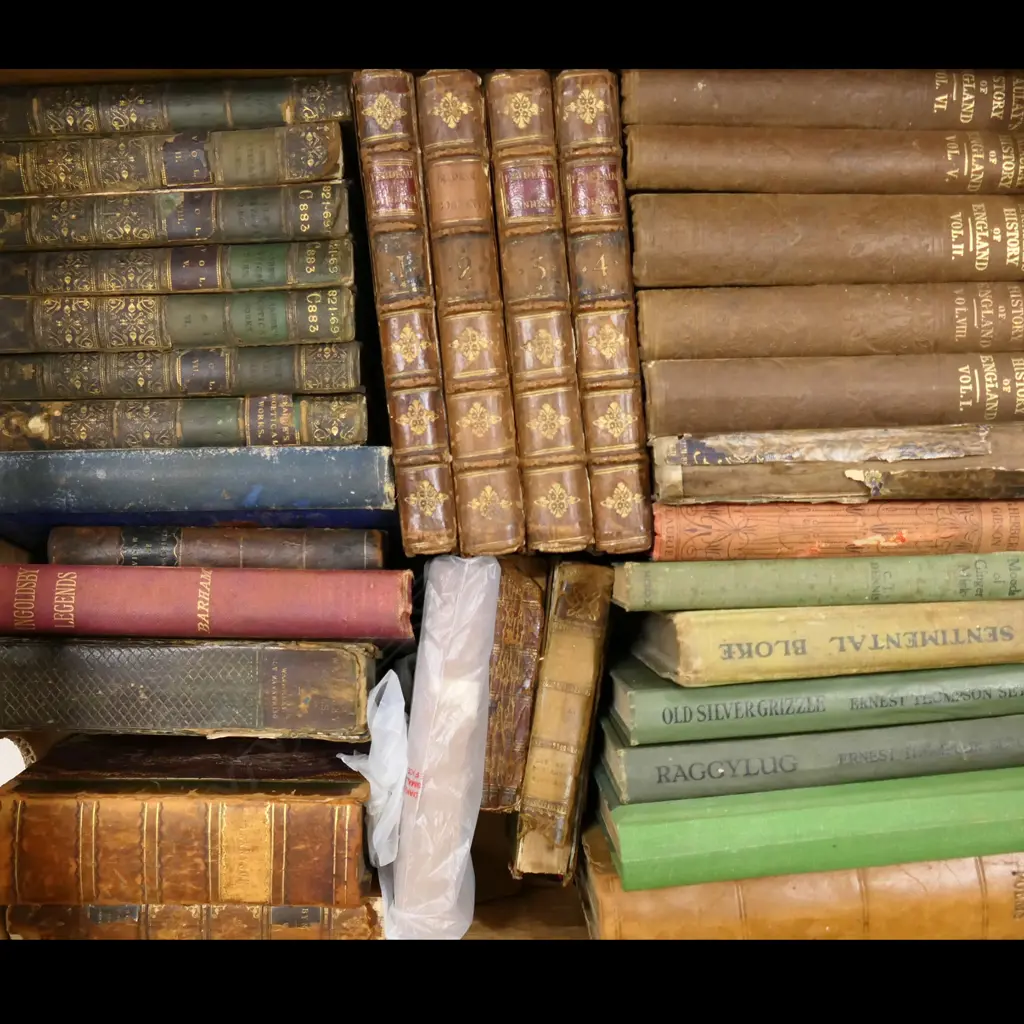 BOX LOT BOOKS; OLD LITERATURE Image 1++