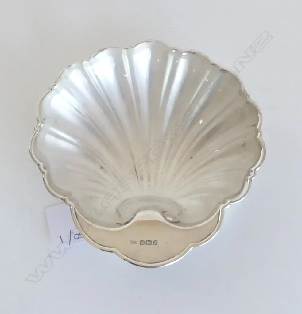 STG SILVER CLAM SHELL, SHEFFIELD 1910 73gms Image 1++