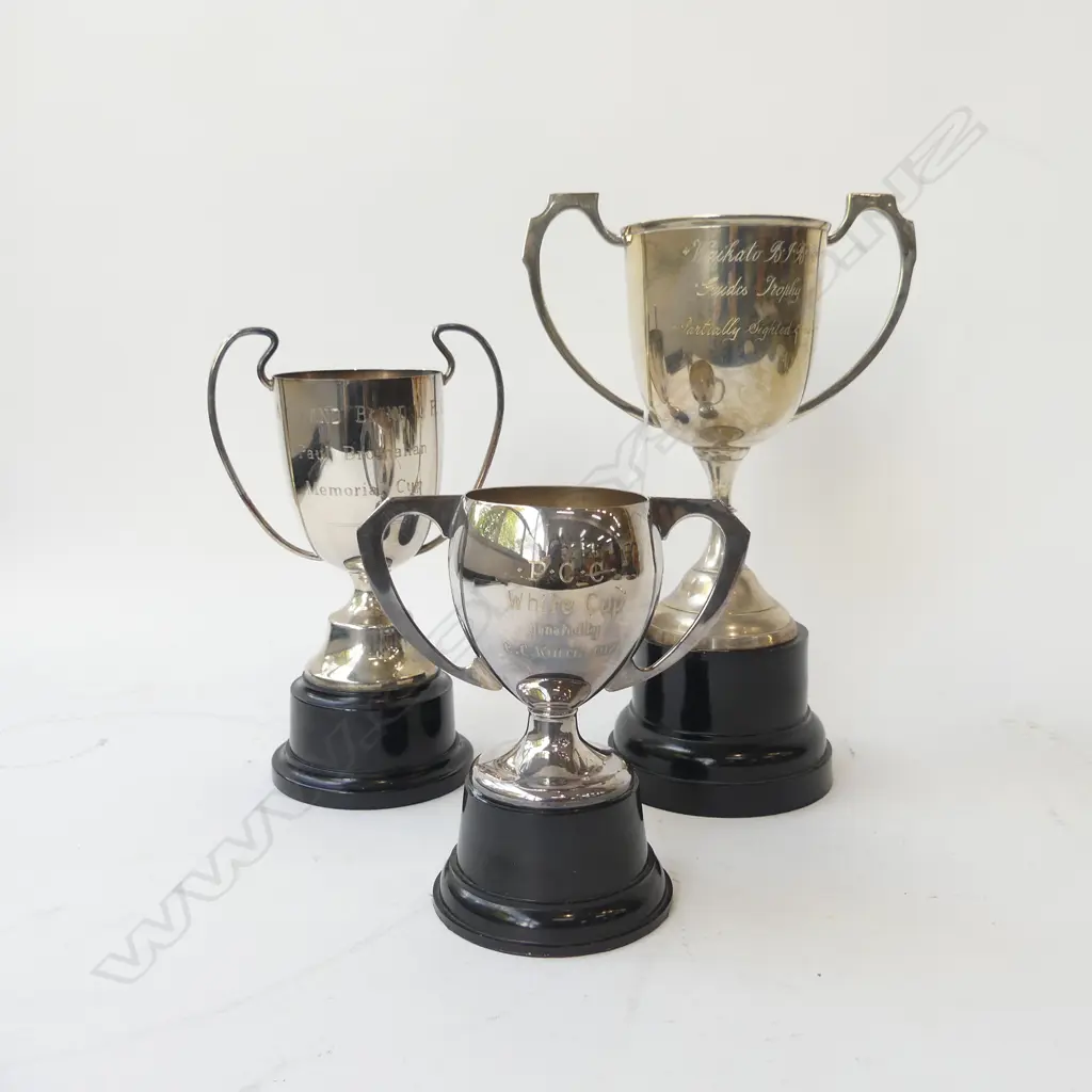 3 EP TROPHIES H.290mm Image 1++