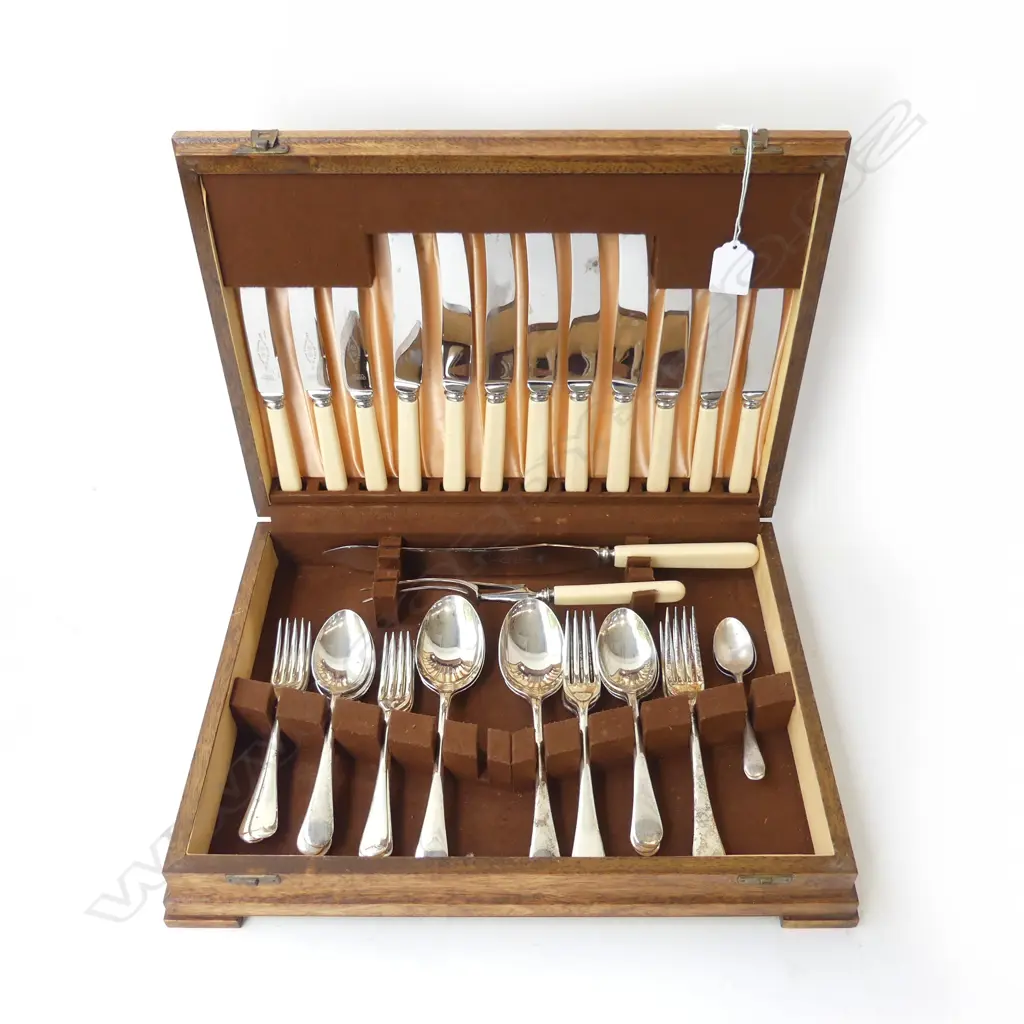 CUTLERY CANTEEN W.405mm w. IVORINE 'BONE' HANDLED KNIVES Image 1++