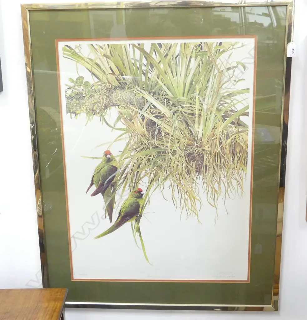RAYMOND CHING 'RED-CROWNED PARAKEETS' SIGNED PRINT 303/850 670x500mm Image 1++