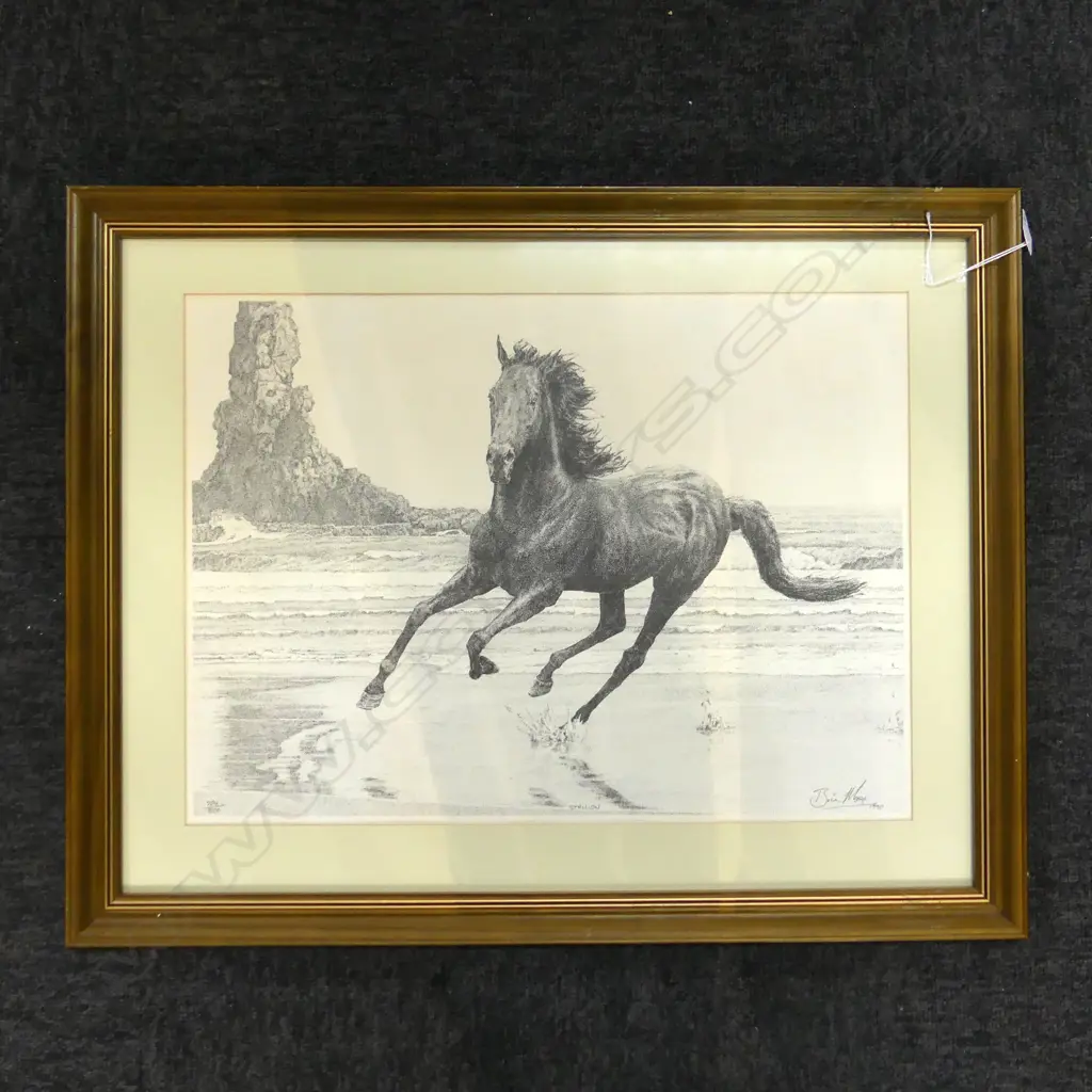 BRIAN MOORE, STALLION, PRINT 1990 704/800 360x490mm Image 1++