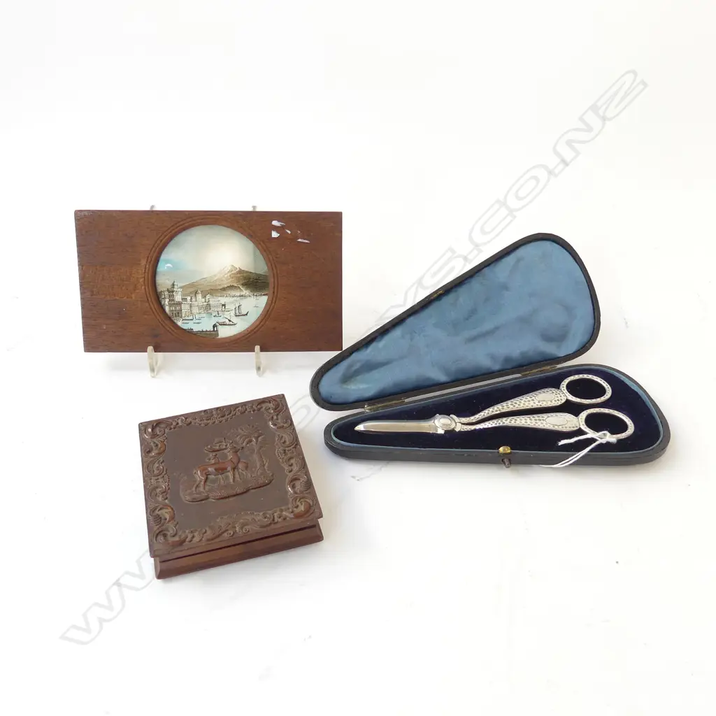 3 PCES; EP GRAPE SCISSORS IN ORIG. CASE, 19thC PHOTO FRAME, HAND PAINTED LANTERN SLIDE W.175mm Image 1++