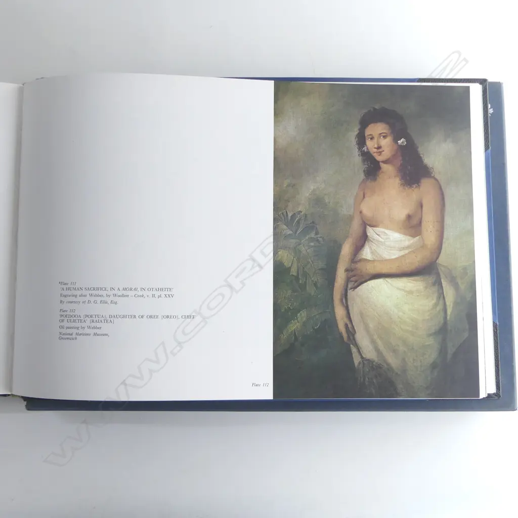 'CAPTAIN COOK'S ARTISTS IN THE PACIFIC'BOOK 1969 by Anthony Murray-Oliver in sleeve case Image 1++