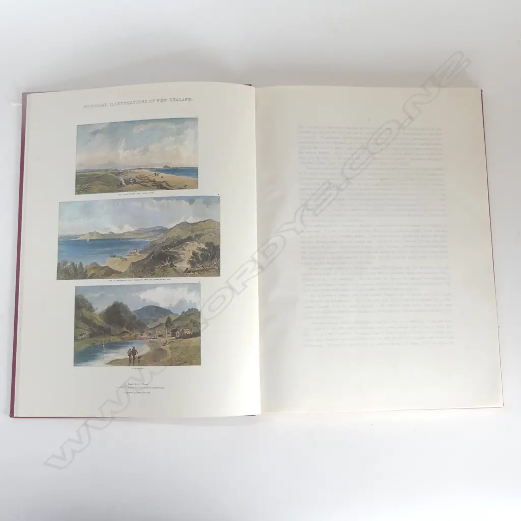 BREES reprint 'PICTORIAL ILLUSTRATIONS OF NEW ZEALAND' Image 1++