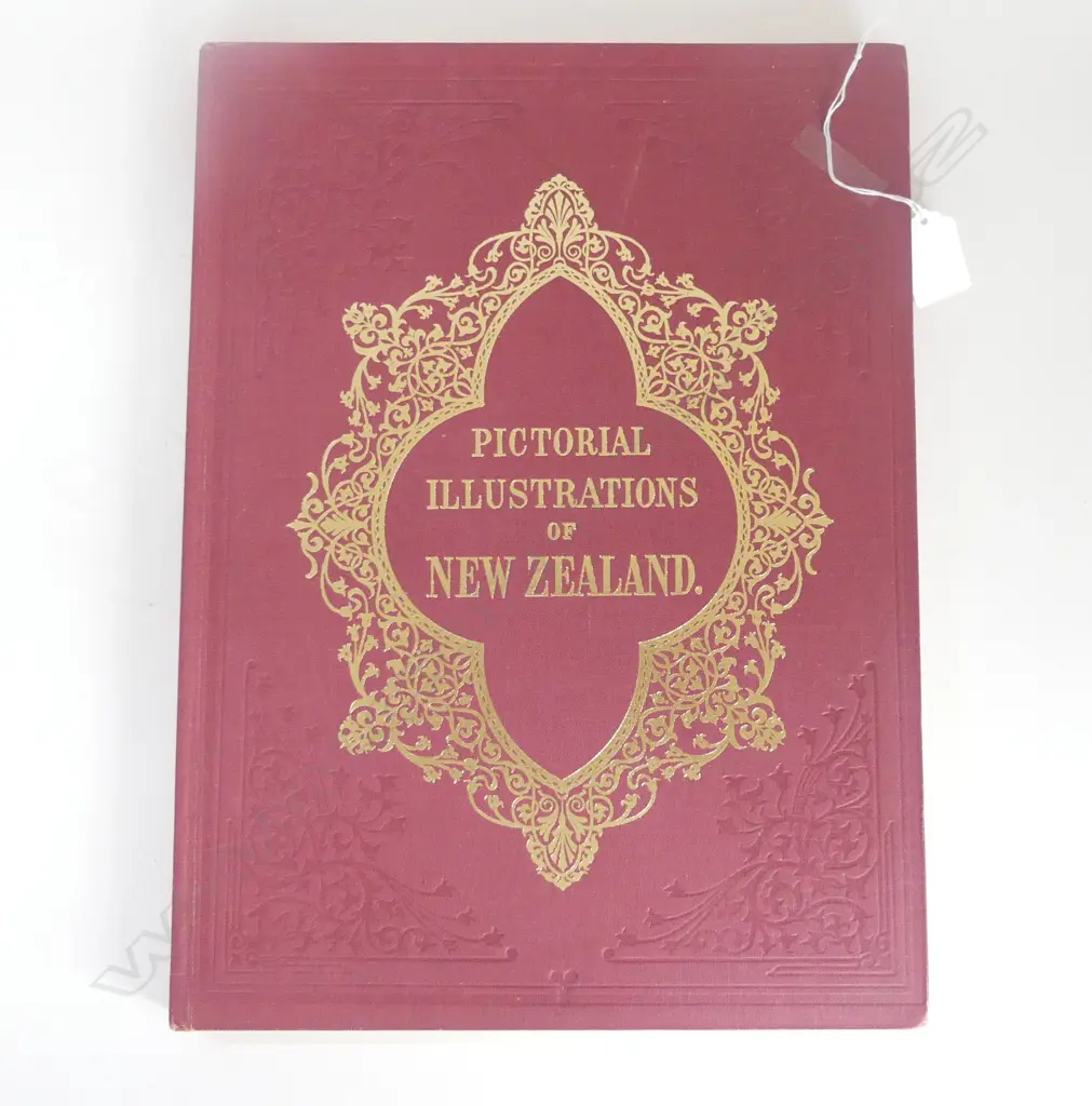 BREES reprint 'PICTORIAL ILLUSTRATIONS OF NEW ZEALAND' Image 1++