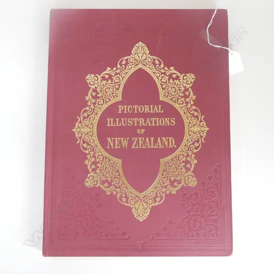 BREES reprint 'PICTORIAL ILLUSTRATIONS OF NEW ZEALAND'